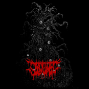 Hävitys On Uudestisyntymisen Avain