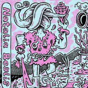 The Steadfast Starry Universe