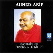 Hasretinden prangalar eskittim