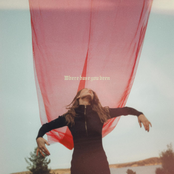 Where Have You Been - Single