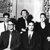 The Magnetic Fields: Get Lost