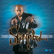 Tiger Bone by Sean Paul