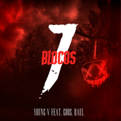 7 Blocos