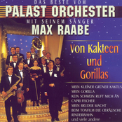Von Kakteen und Gorillas