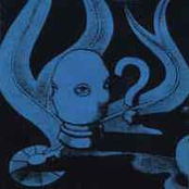 Noise, Nonsence & Nothing