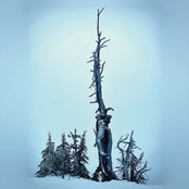 Ascetic Dissociations