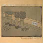 Bobby Bare Jr.: From the End of Your Leash