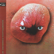 Schimpfluch-Commune Int.