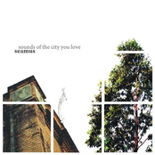 Sounds Of The City You Love