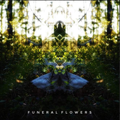 Funeral Flowers