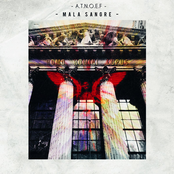 (A.T.N.O.E.F) After the Night Of Exploding Fireflies