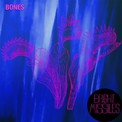 Bones