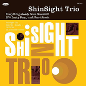 Everything Steady Goin Downhill VLS