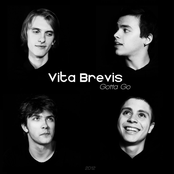 Vita Brevis