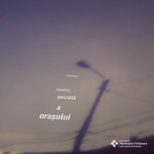 Muzica Secretă a Orașului