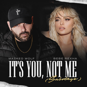 It’s You, Not Me (Sabotage) - Single