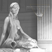 Vision Wallows In Symphonies Of Light