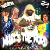 whats the word (xion orion)