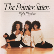 What A Woman Wants by The Pointer Sisters