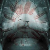 Pourlécher / Above the Trees