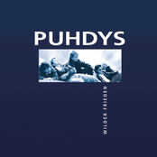 Wut Will Nicht Sterben (radio Edit) by Puhdys