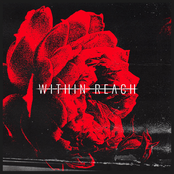 Within Reach: Plead