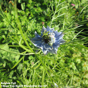 I Hope You Had A Wonderful Day EP