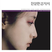 sympathy for lady vengeance