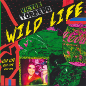 Wild Life
