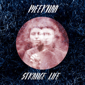 Meernaa: Strange Life