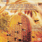 Honey From The Hive
