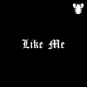 Like Me