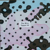 The Wire Tapper 44