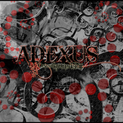 Adexus