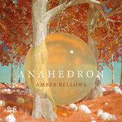 Amber Bellows EP