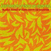 Árvores do Fundo do Quintal