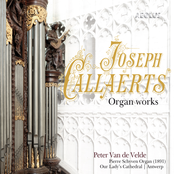 Joseph Callaerts: Organ works