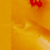 Halloween III: Occult Weekend Split