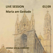 Live Session 01/09: Maria am Gestade