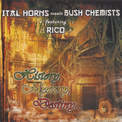 Ital Horns Meets Bush Chemists Featuring Rico