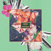 Arms / Seizures split