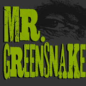 Mr. Greensnake Band
