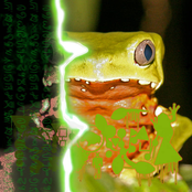 Such Fertile Ground For The Seeds Of Torment