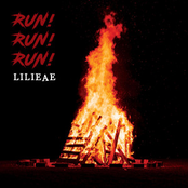 Lilieae: RUN! RUN! RUN!