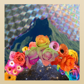 Only Animals - Single