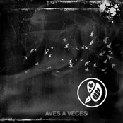 EP...Aves a Veces
