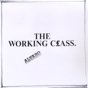 The Working Class