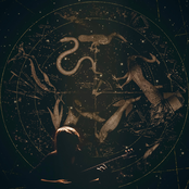 Echoes of the Universe