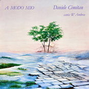 A modo mio (Daniele Cimitan canta W. Ambros)
