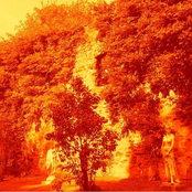 Olympus Has Fallen // Electric Brilo